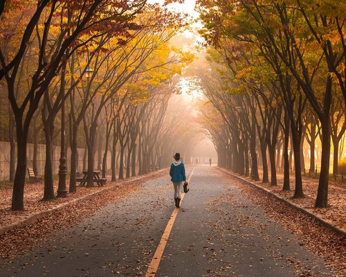Woman walking peacefully in a sunny park with trees